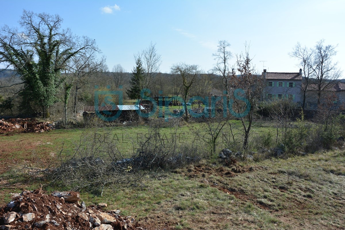 Land For sale - ISTARSKA GROŽNJAN