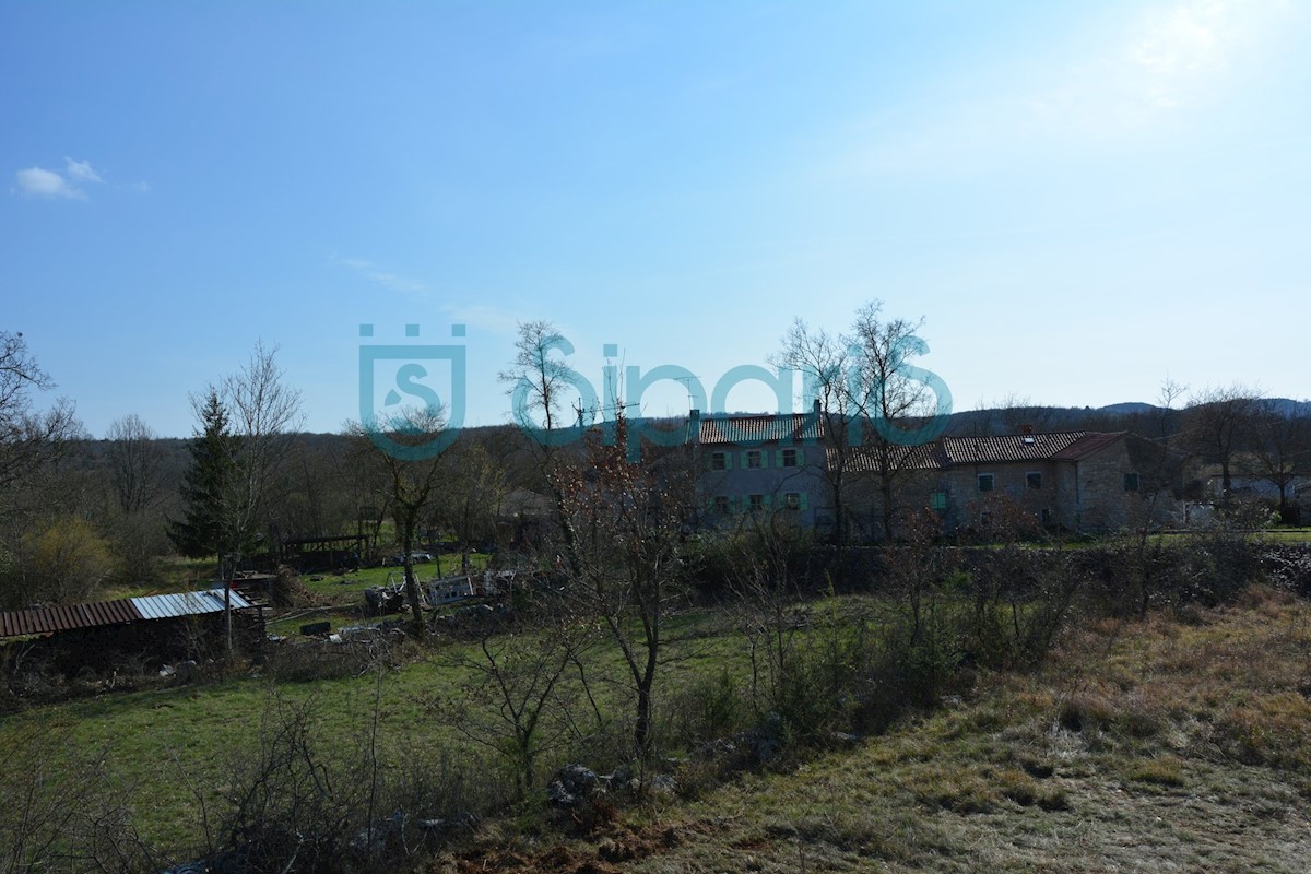 Land For sale - ISTARSKA GROŽNJAN