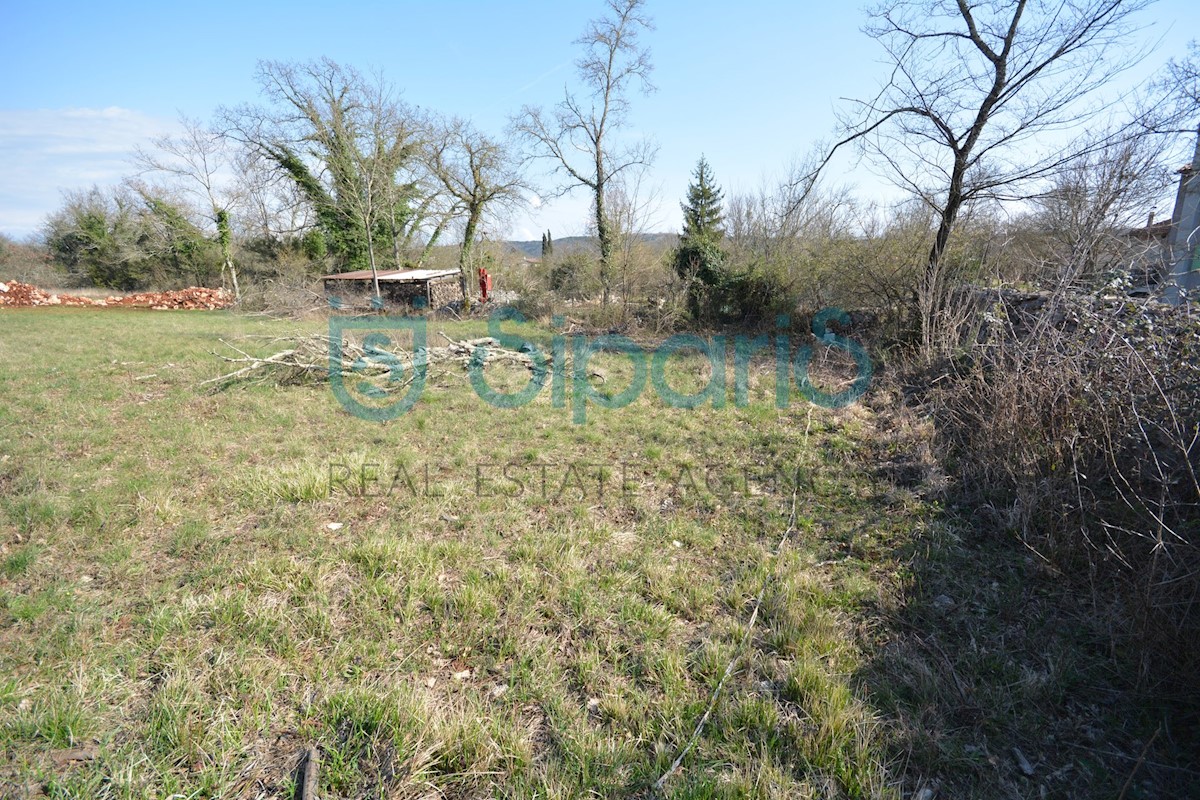 Land For sale - ISTARSKA GROŽNJAN