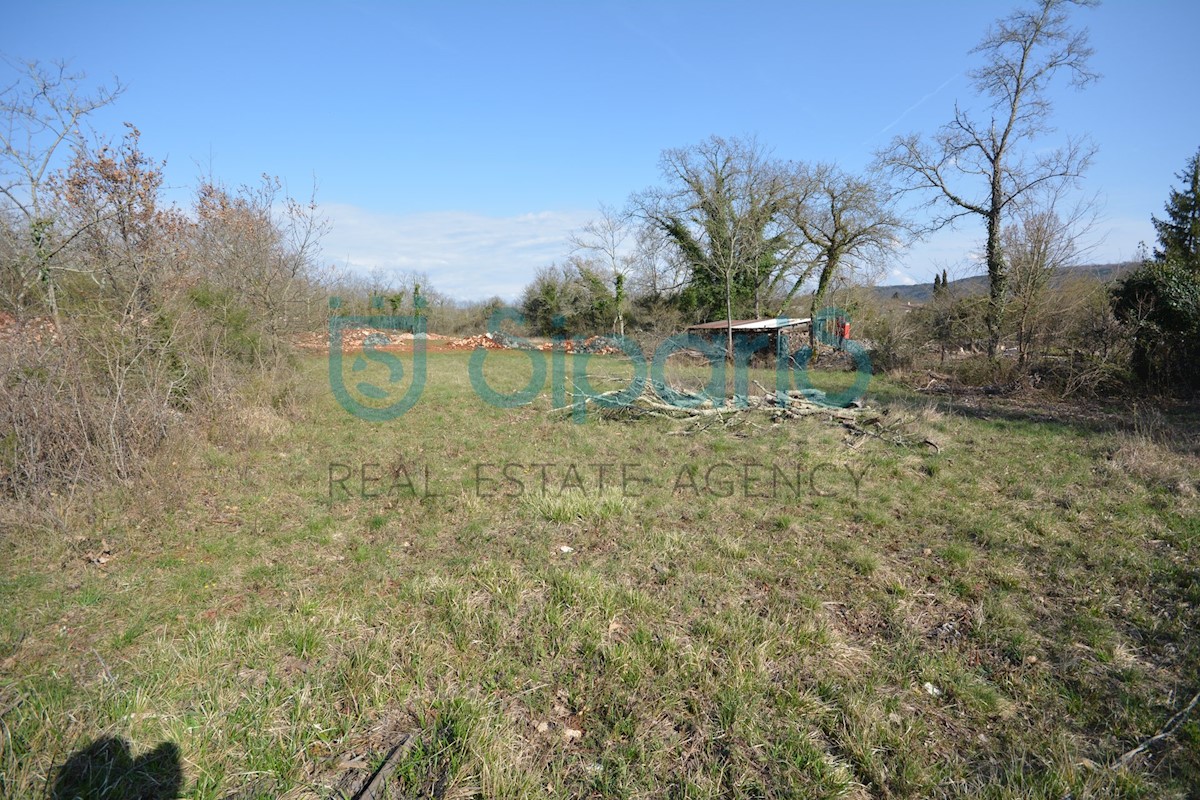 Land For sale - ISTARSKA GROŽNJAN