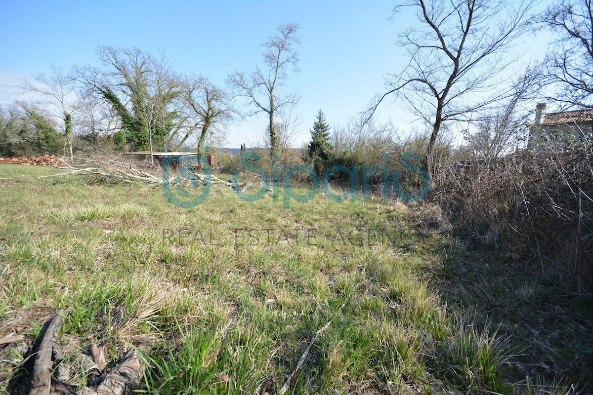 Land For sale - ISTARSKA GROŽNJAN