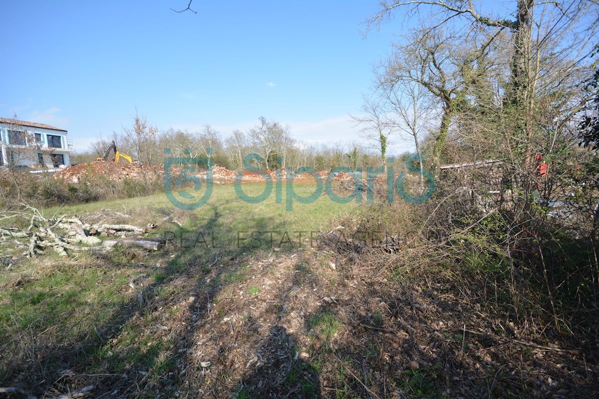 Land For sale - ISTARSKA GROŽNJAN