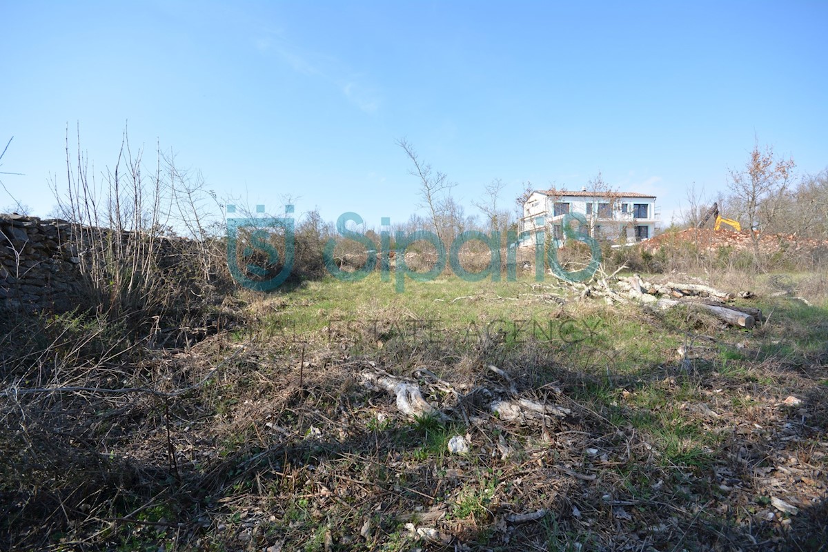 Land For sale - ISTARSKA GROŽNJAN