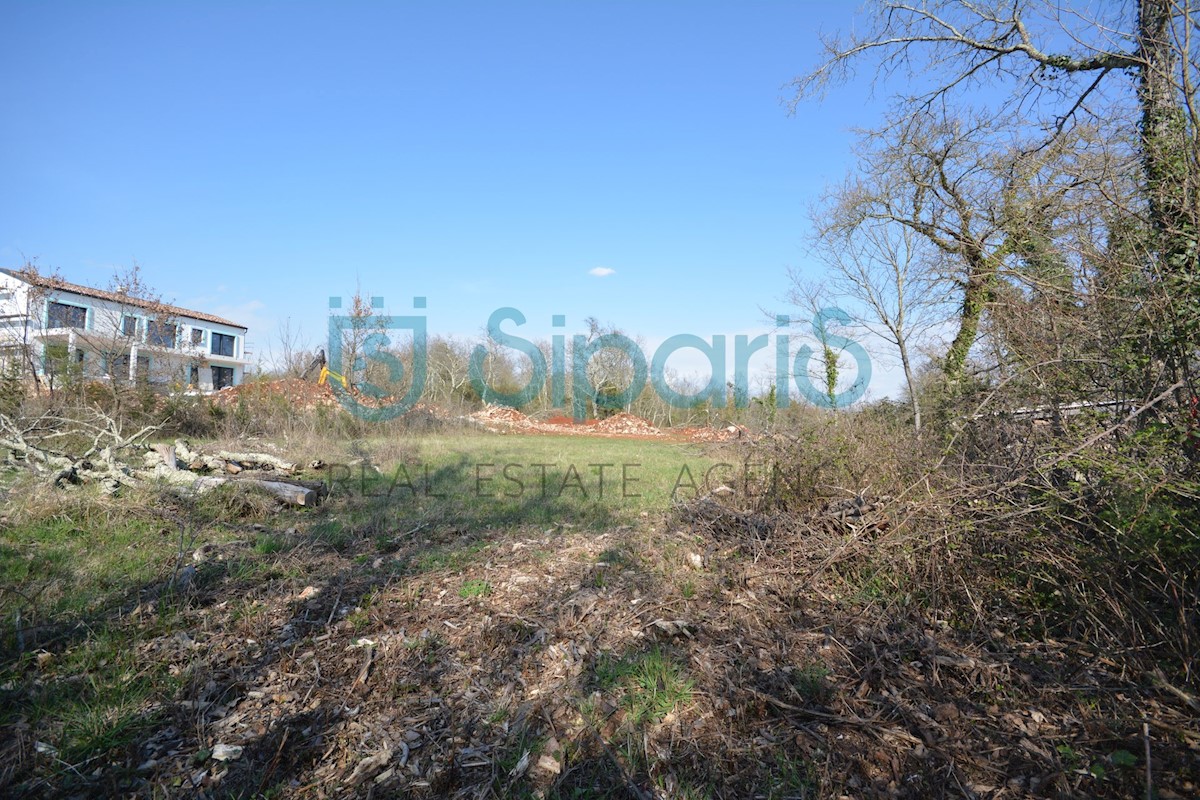 Land For sale - ISTARSKA GROŽNJAN