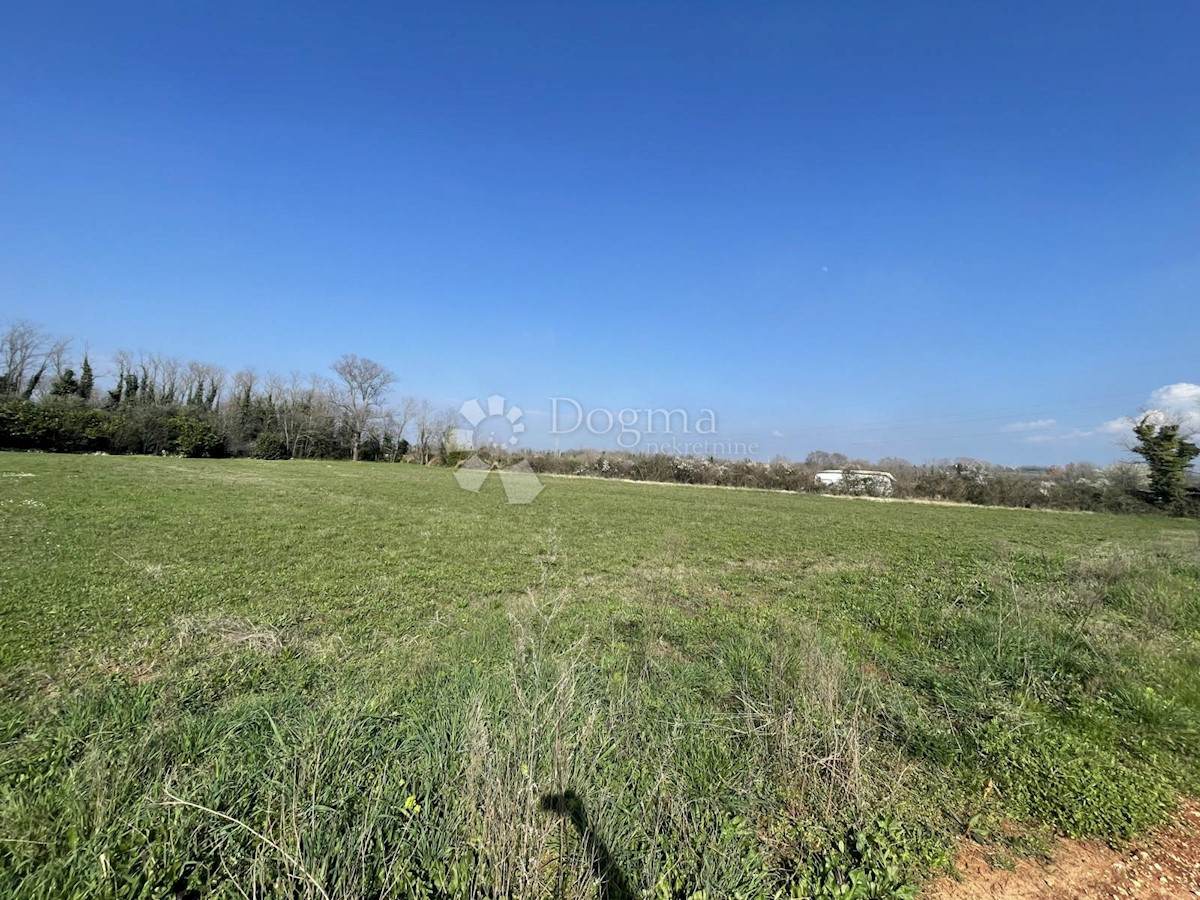 Land For sale - Istarska Umag - foto 2/2