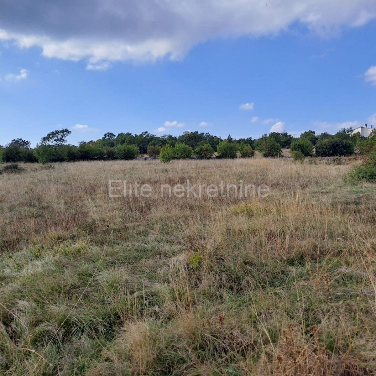 Land For sale - ISTARSKA LUPOGLAV