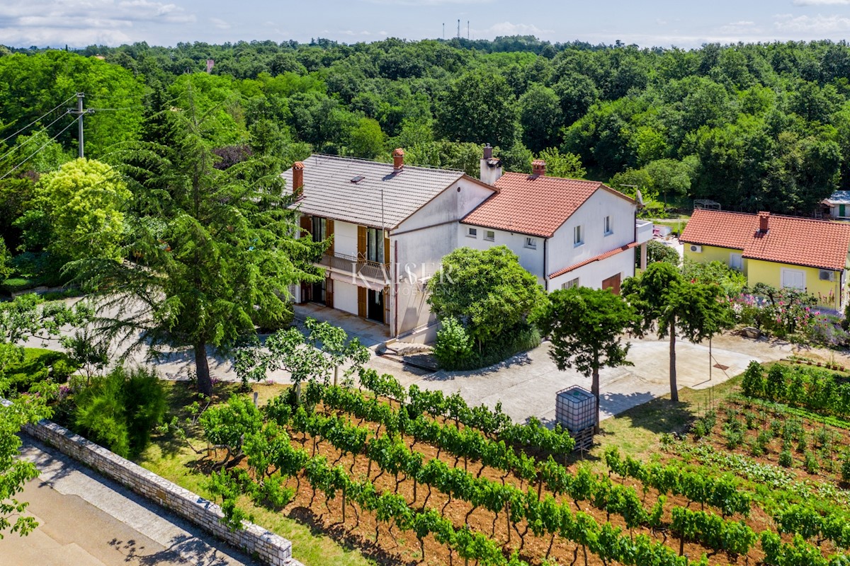 Terrain À vendre - ISTARSKA ŽMINJ