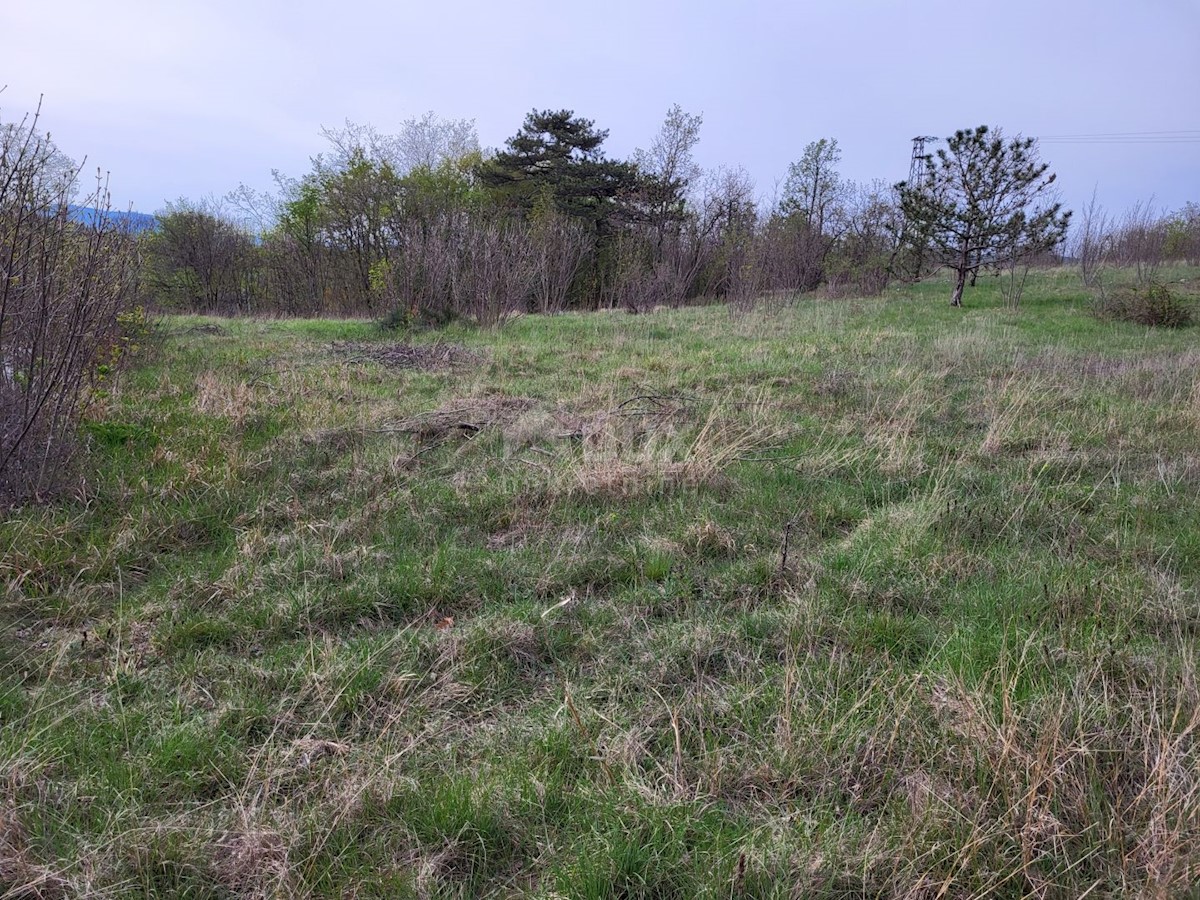 Land For sale - ISTARSKA LUPOGLAV