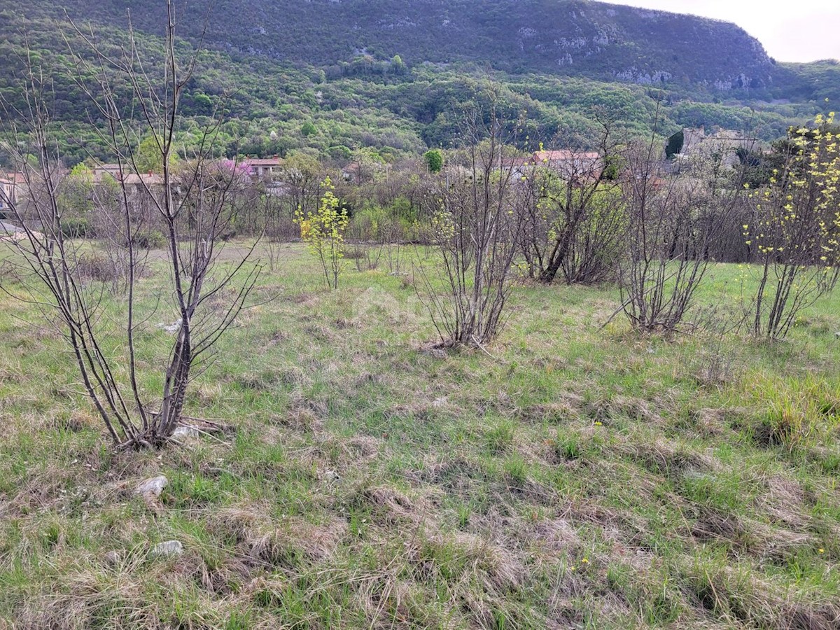 Land For sale - ISTARSKA LUPOGLAV