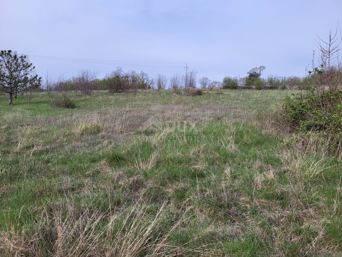 Land For sale - ISTARSKA LUPOGLAV