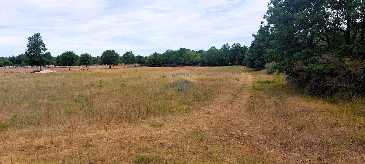 Terreno In vendita - ISTARSKA POREČ