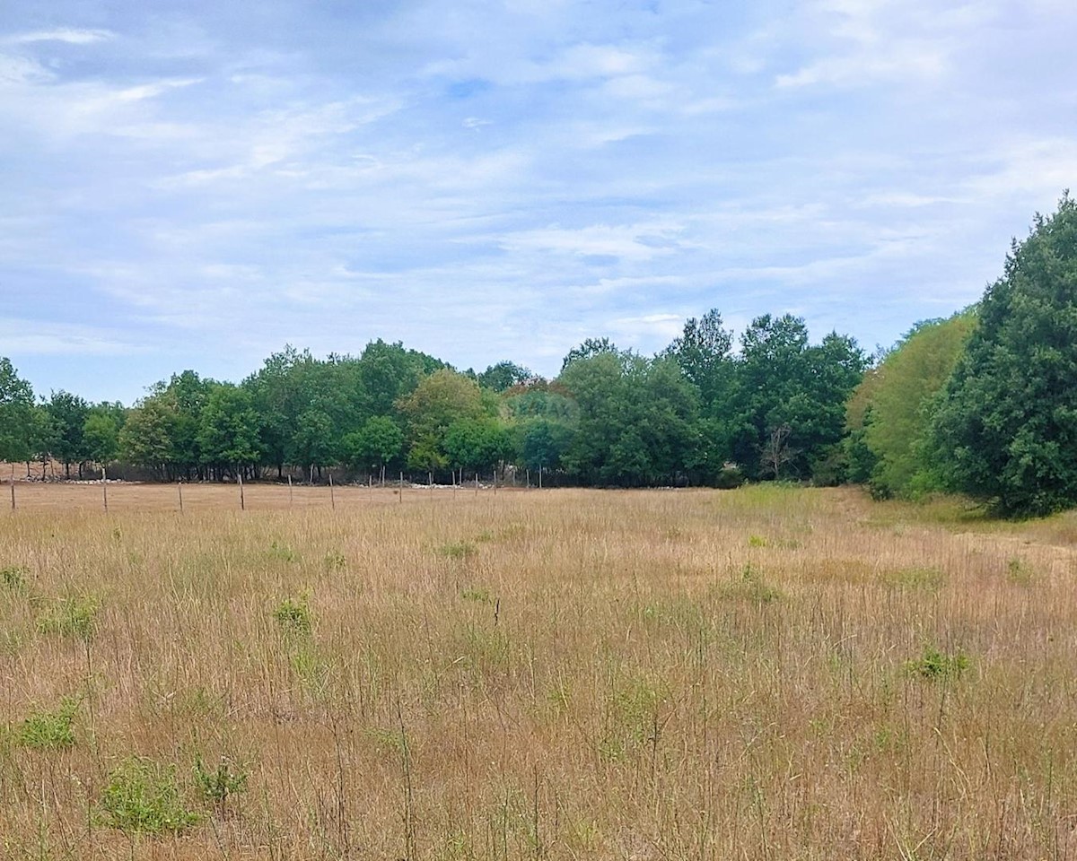 Terreno In vendita - ISTARSKA POREČ