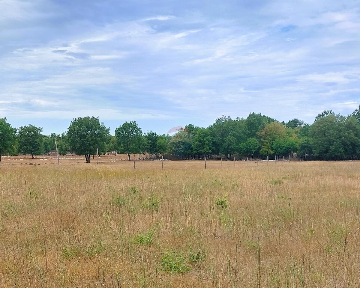 Terreno In vendita - ISTARSKA POREČ