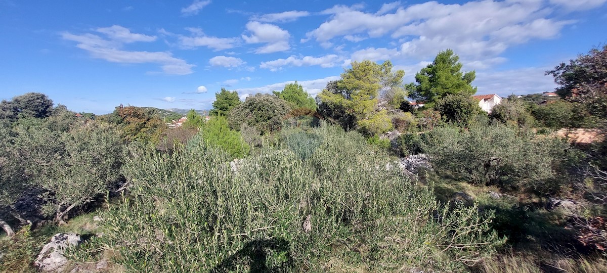 Terreno In vendita - ŠIBENSKO-KNINSKA ROGOZNICA