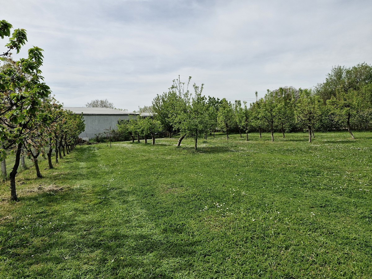 Pozemok Na predaj - OSJEČKO-BARANJSKA OSIJEK