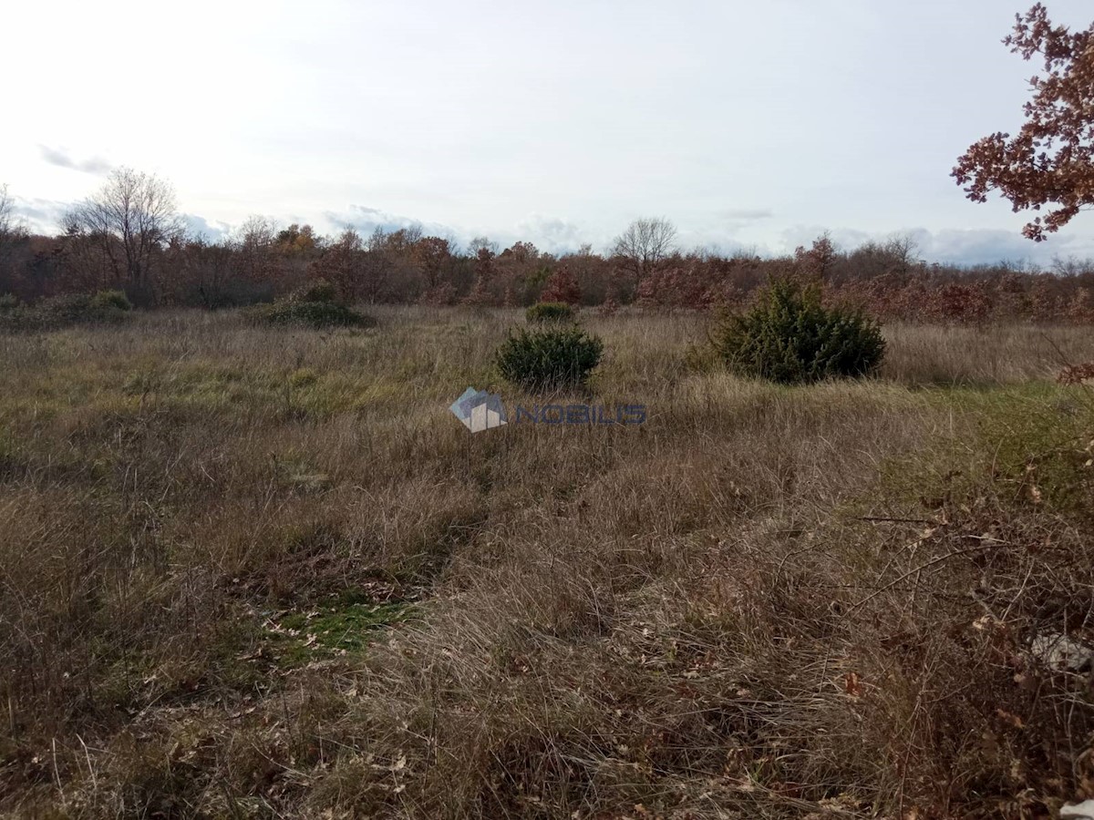 Terreno In vendita - ISTARSKA MARČANA