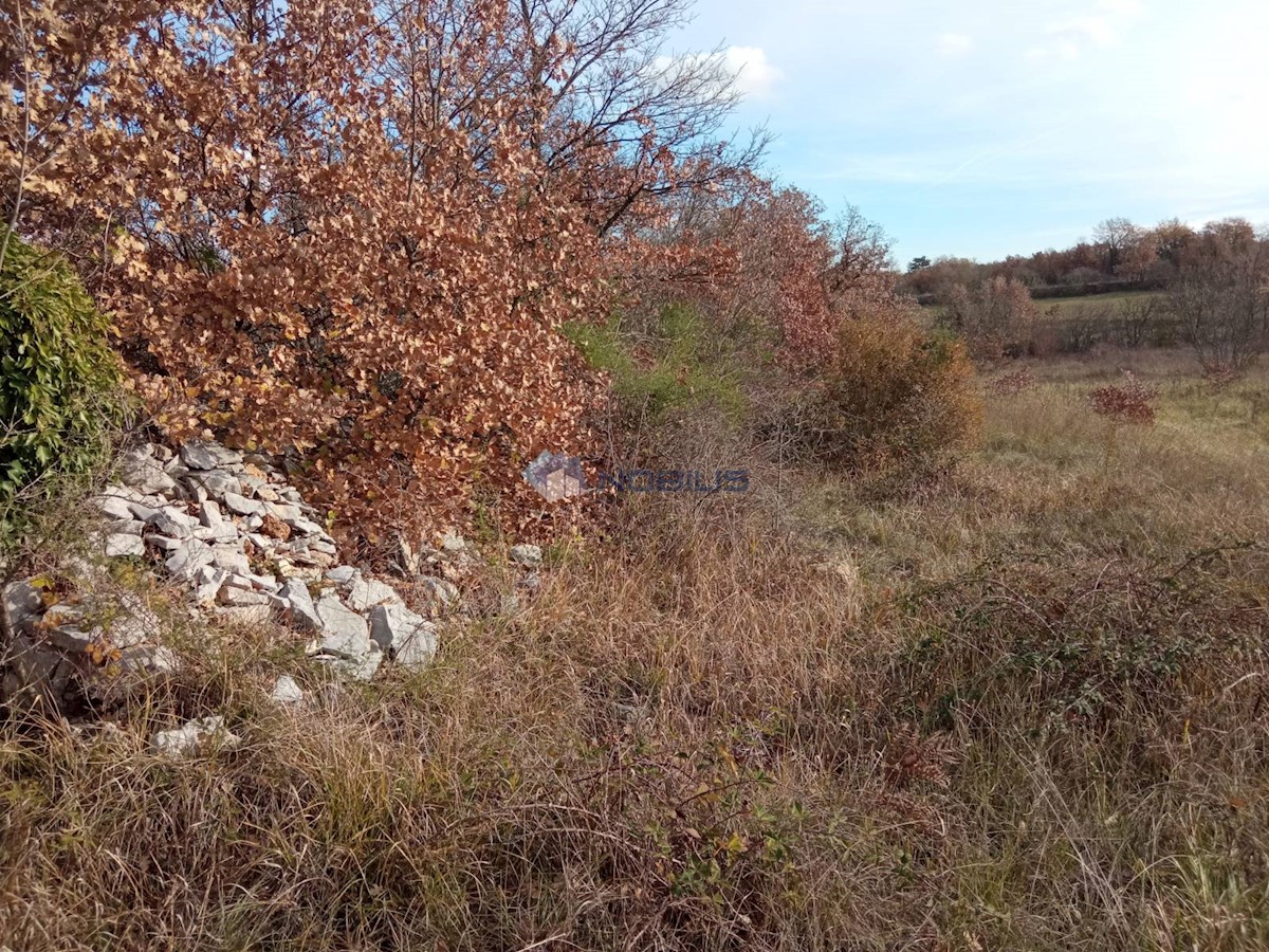 Terreno In vendita - ISTARSKA MARČANA