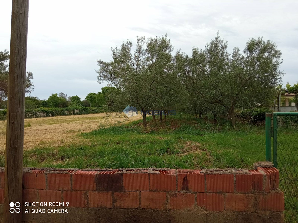 Land For sale - ISTARSKA VODNJAN