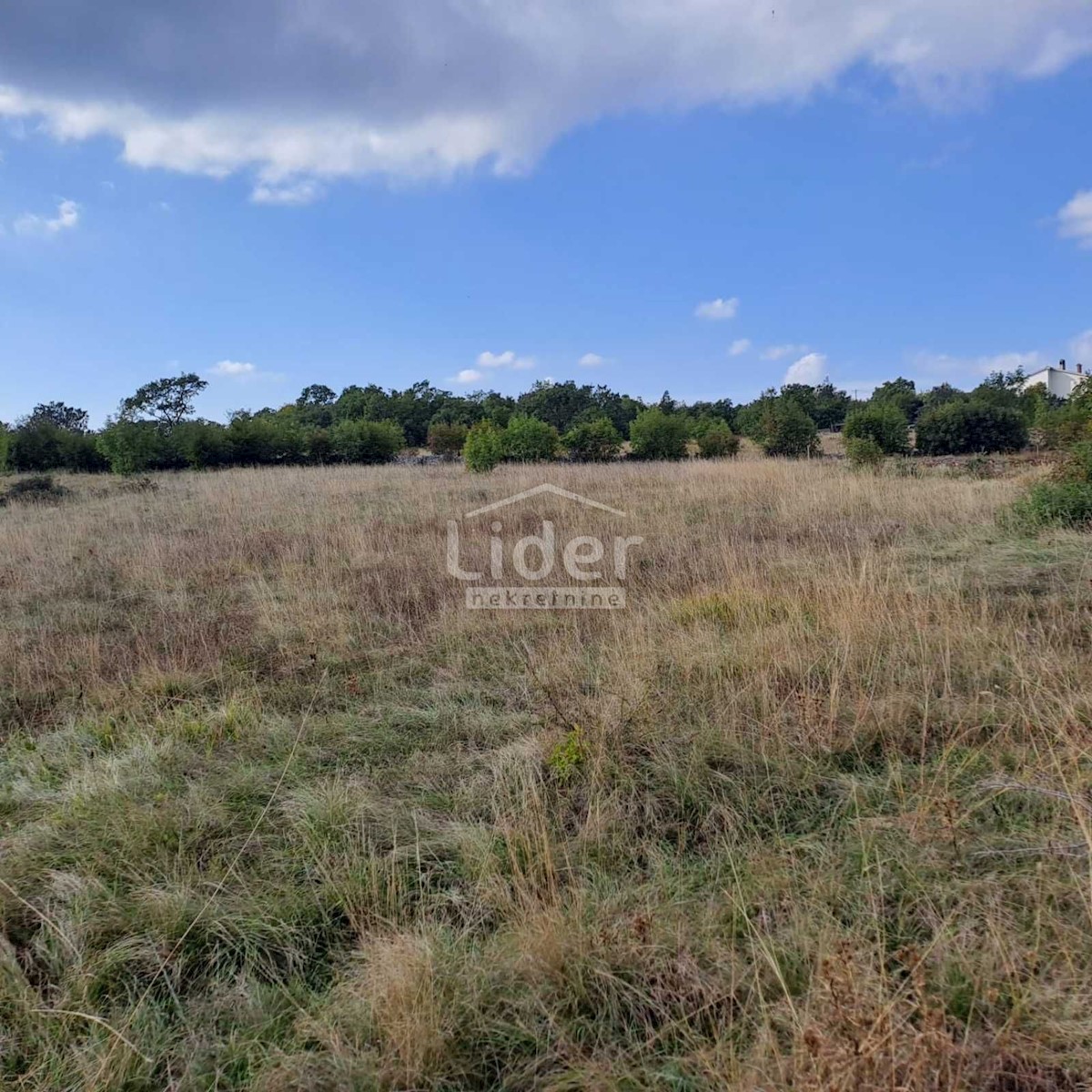 Land For sale - ISTARSKA LUPOGLAV