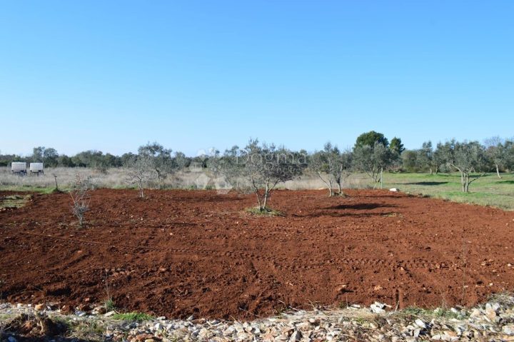 Terrain à vendre 505 m² – Fažana