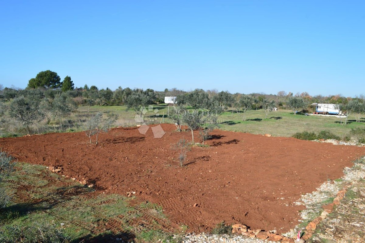 Terrain À vendre - ISTARSKA FAŽANA