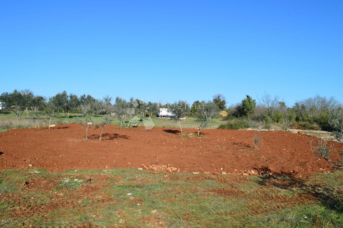 Terrain À vendre - ISTARSKA FAŽANA