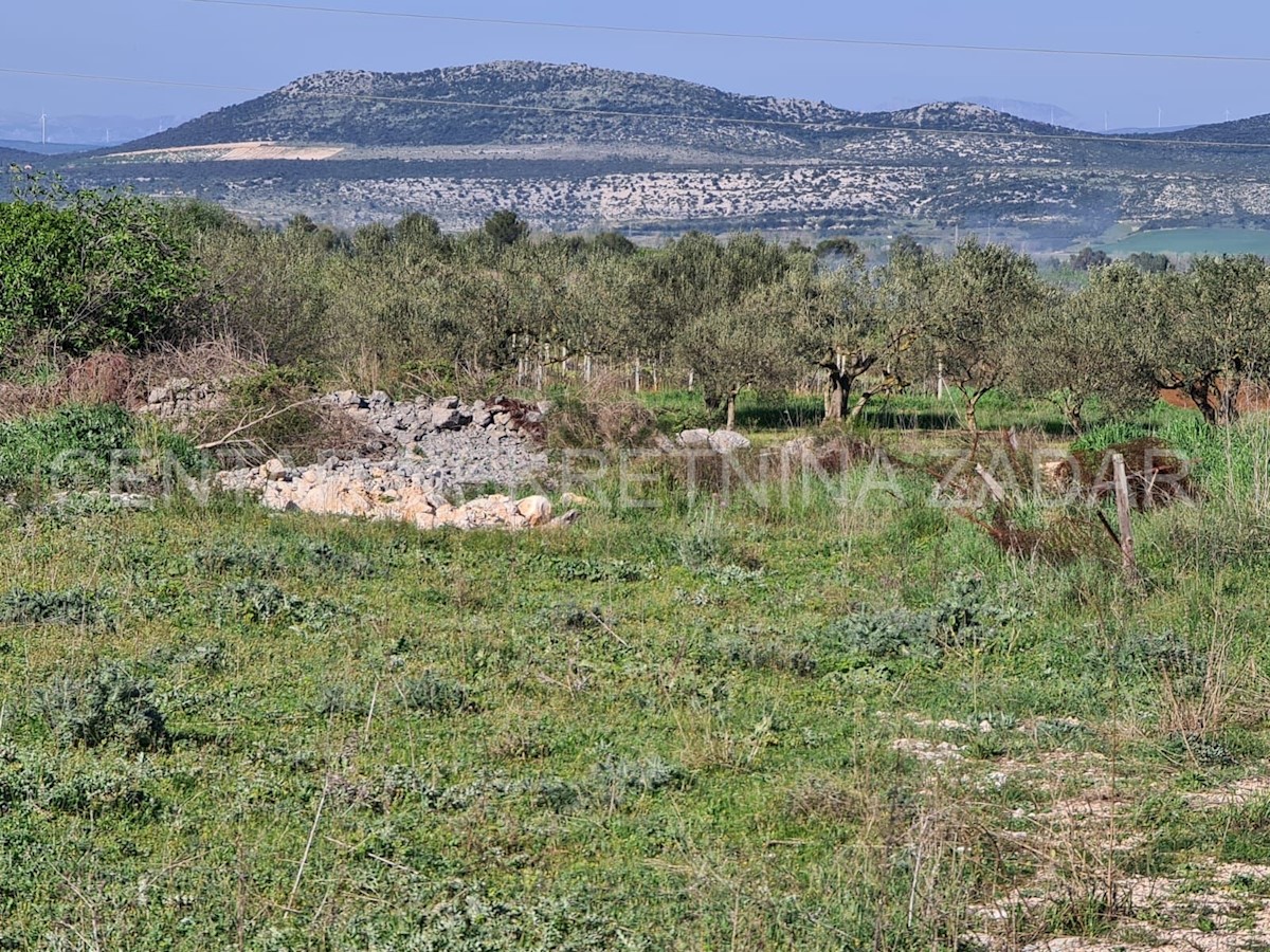 Pozemok Na predaj - ZADARSKA BIOGRAD NA MORU