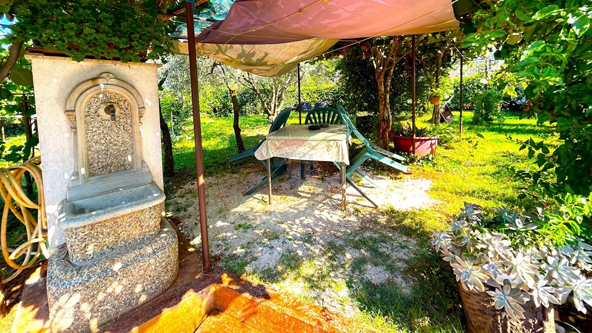 House For sale - ISTARSKA UMAG