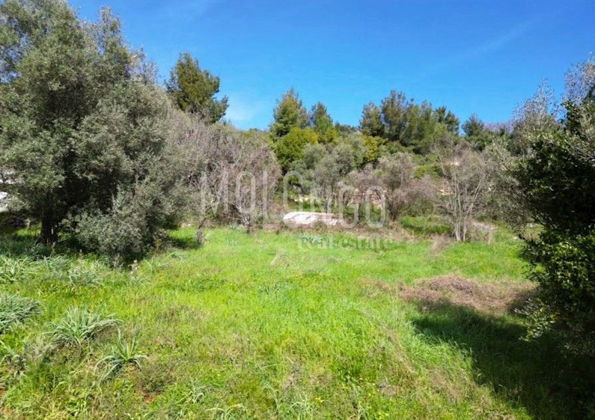 Land For sale - ISTARSKA LABIN