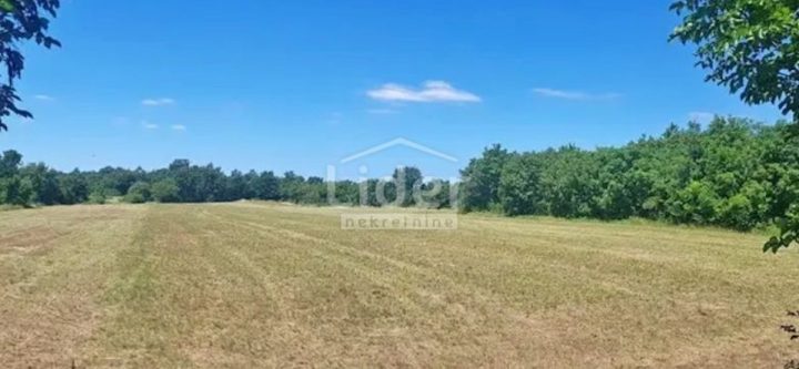 Pozemok na predaj 20000 m² – Zabrežani