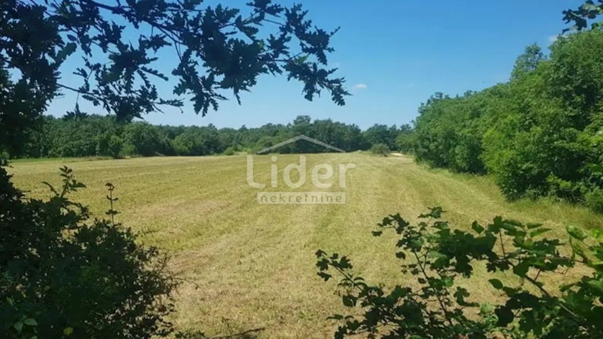 Zemljište Na prodaju - ISTARSKA PAZIN