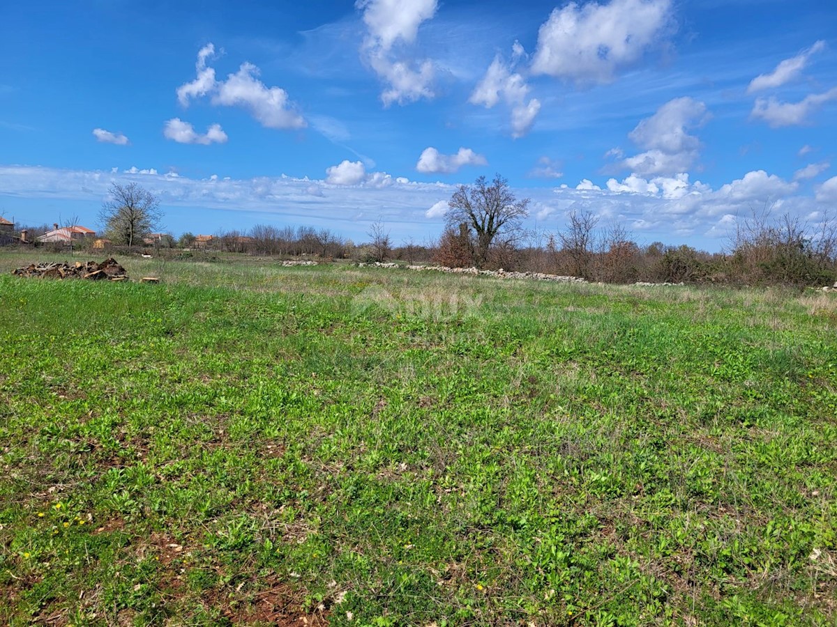 Land For sale - ISTARSKA SVETVINČENAT