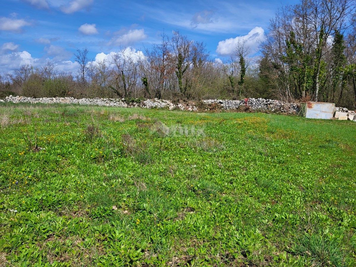 Terrain À vendre - ISTARSKA Svetvinčenat