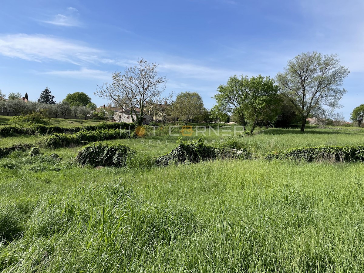 Terreno In vendita - ISTARSKA BARBAN