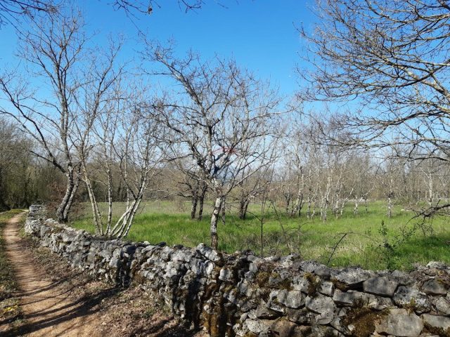 Land For sale - Istarska Sveti Petar U šumi - foto 3/9