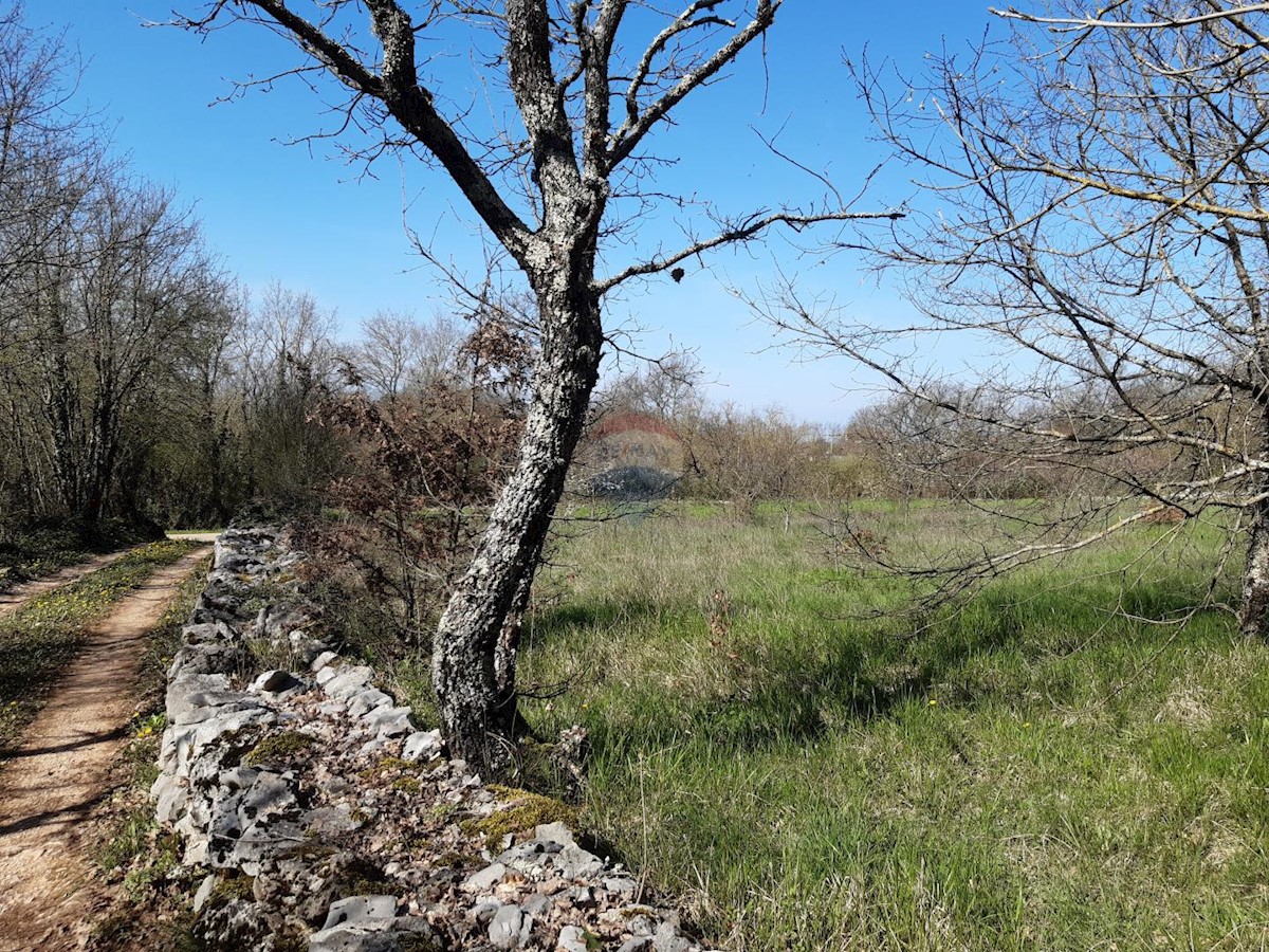 Zemljište Na prodaju - ISTARSKA SVETI PETAR U ŠUMI