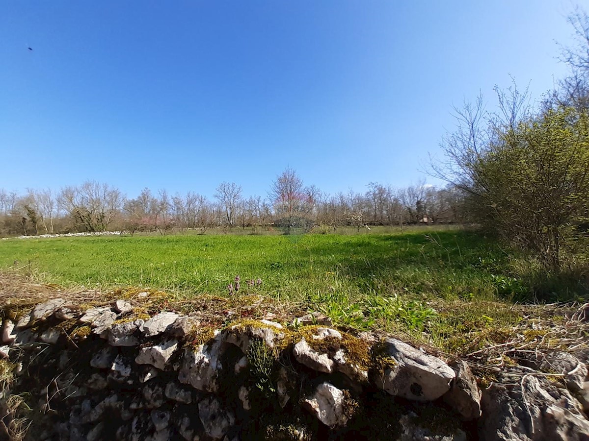 Terreno In vendita - ISTARSKA SVETI PETAR U ŠUMI