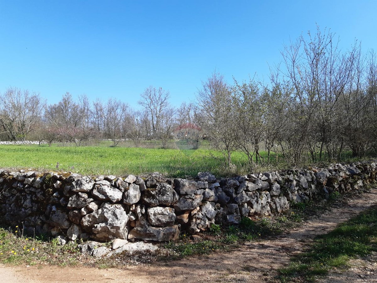 Terreno In vendita - ISTARSKA SVETI PETAR U ŠUMI