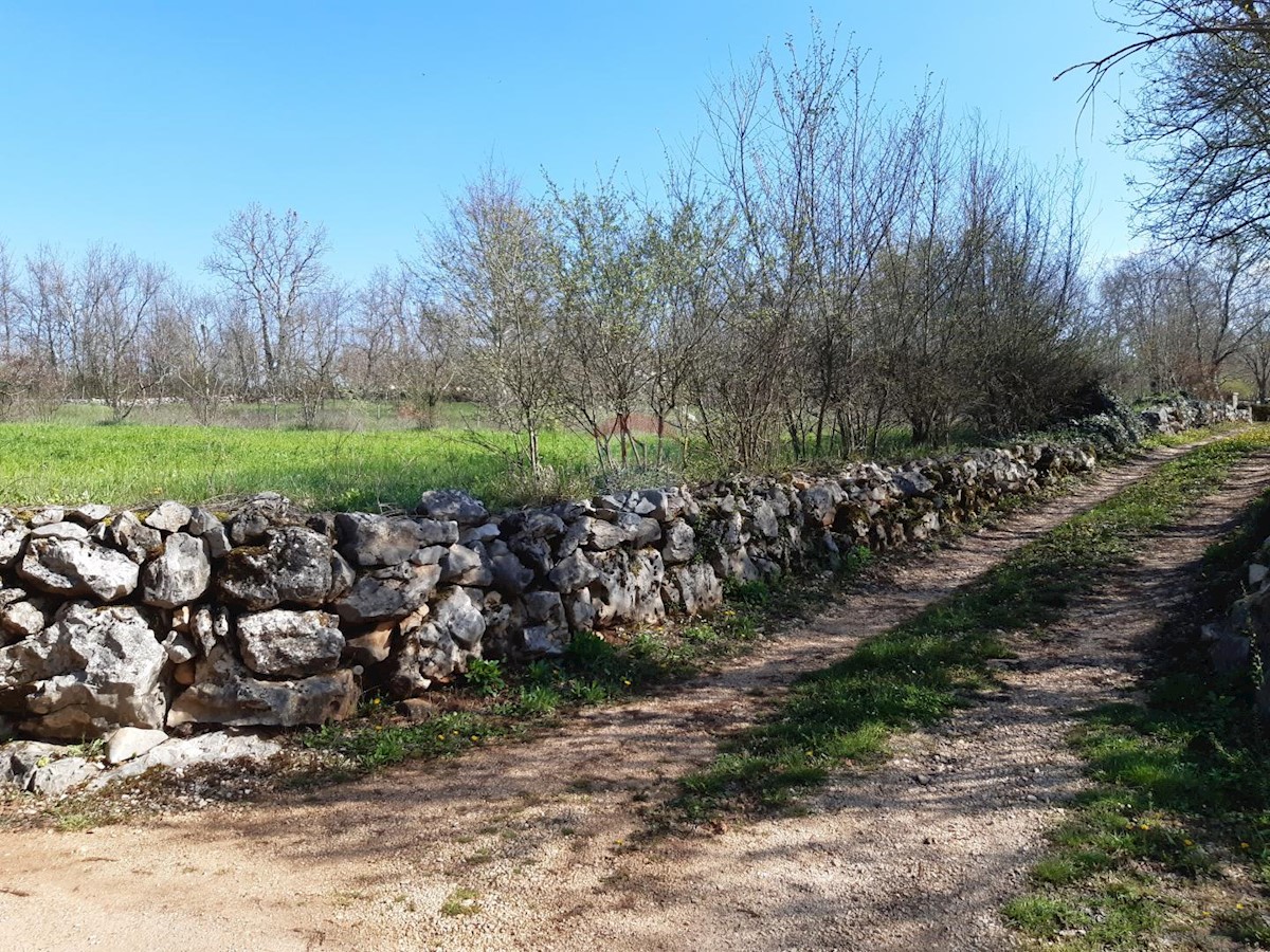 Terreno In vendita - ISTARSKA SVETI PETAR U ŠUMI