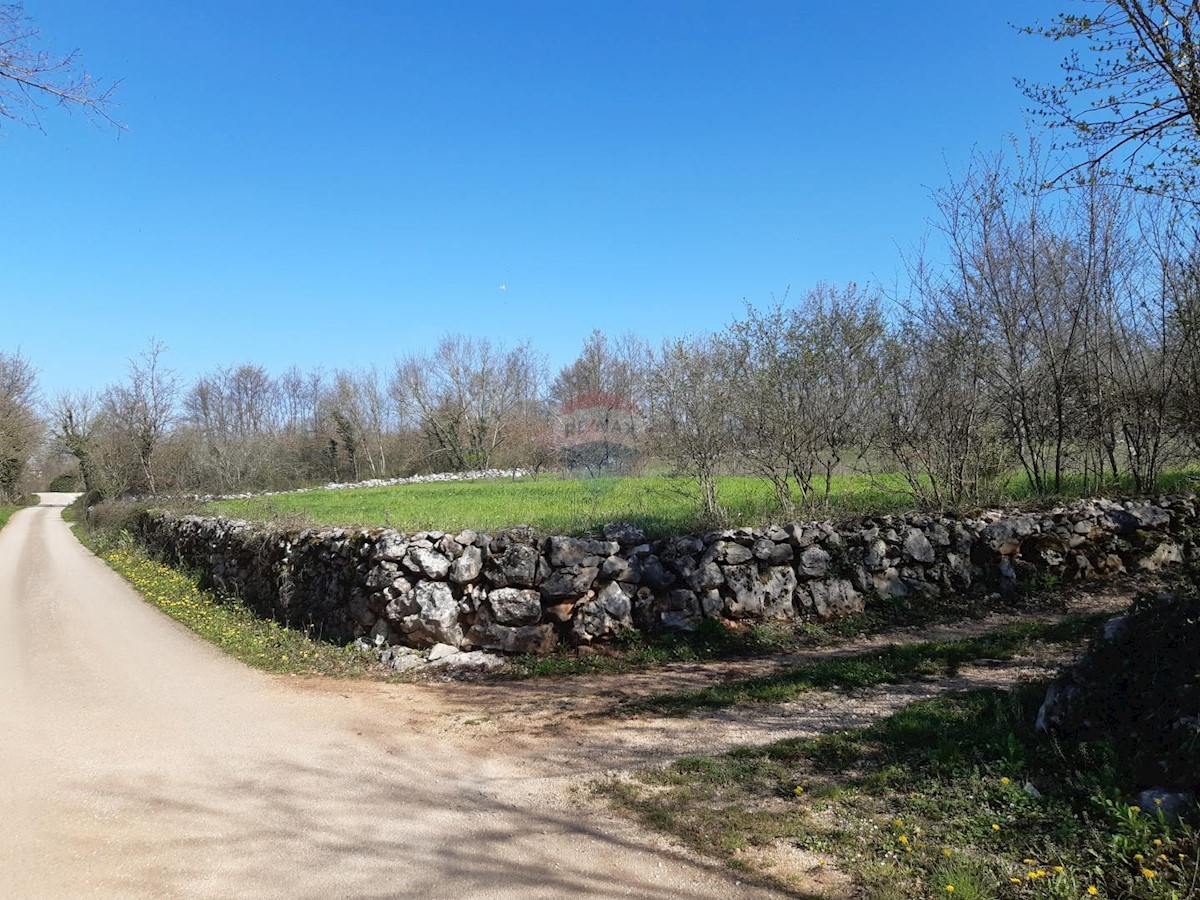 Terreno In vendita - ISTARSKA SVETI PETAR U ŠUMI