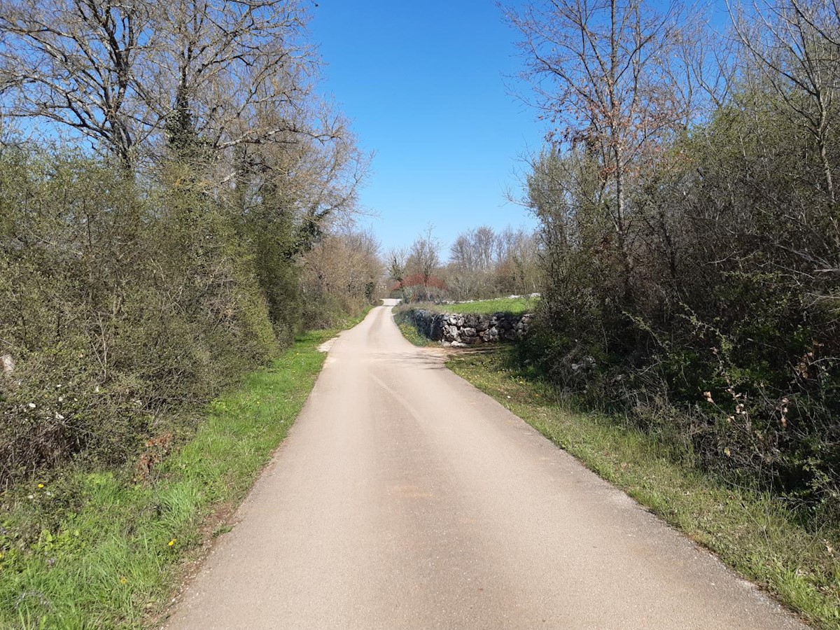 Terreno In vendita - ISTARSKA SVETI PETAR U ŠUMI