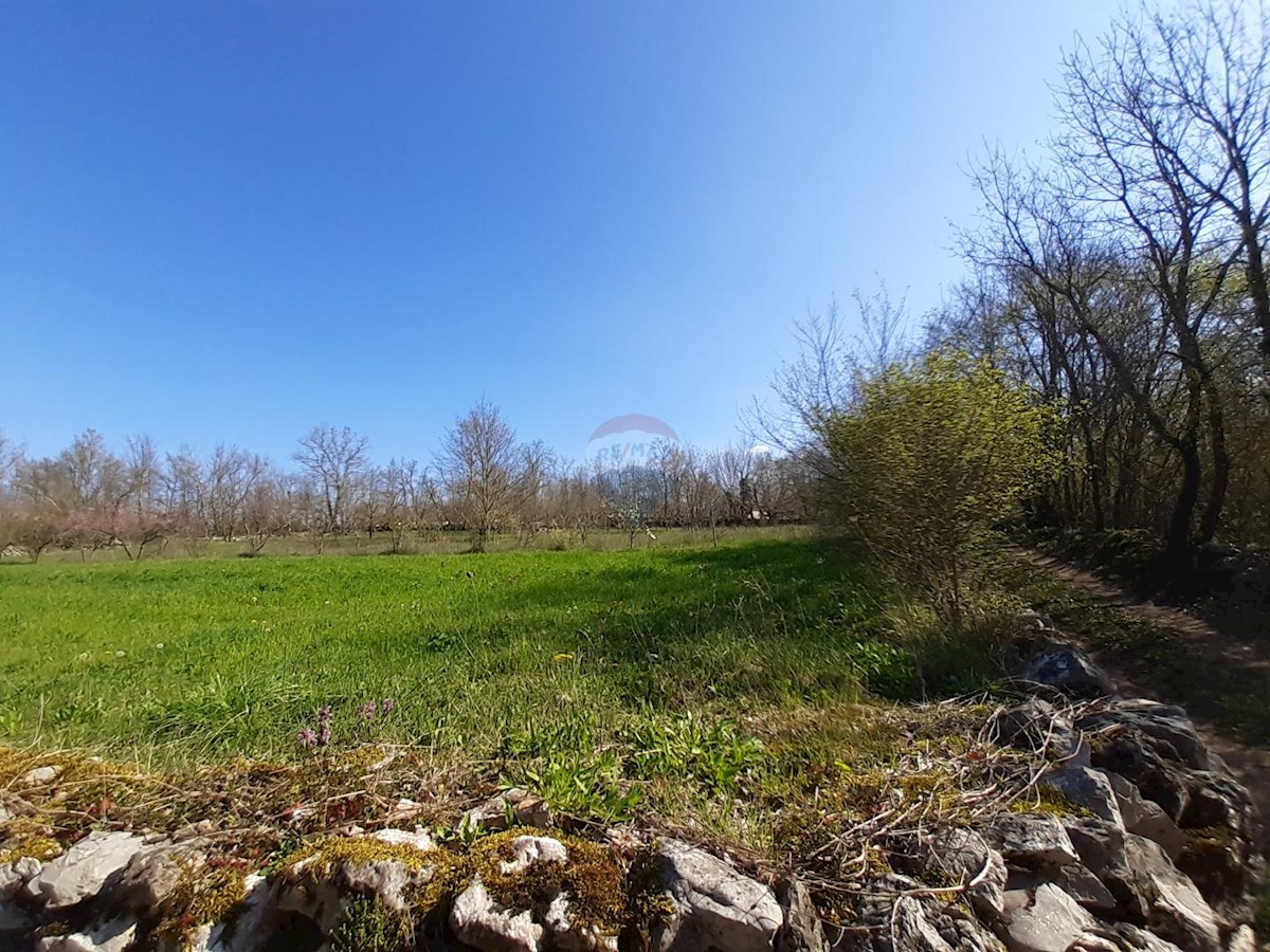 Terreno In vendita - ISTARSKA SVETI PETAR U ŠUMI