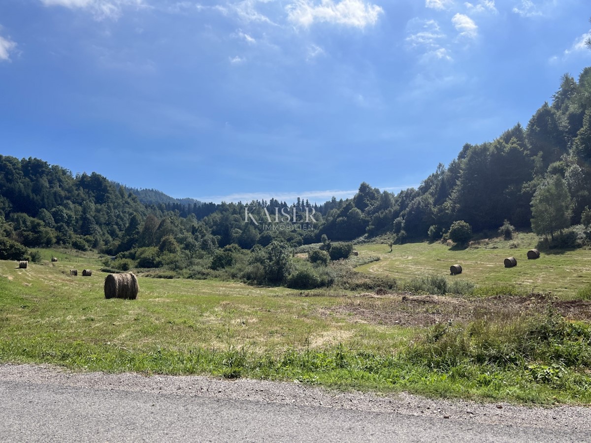 Terreno In vendita - PRIMORSKO-GORANSKA DELNICE