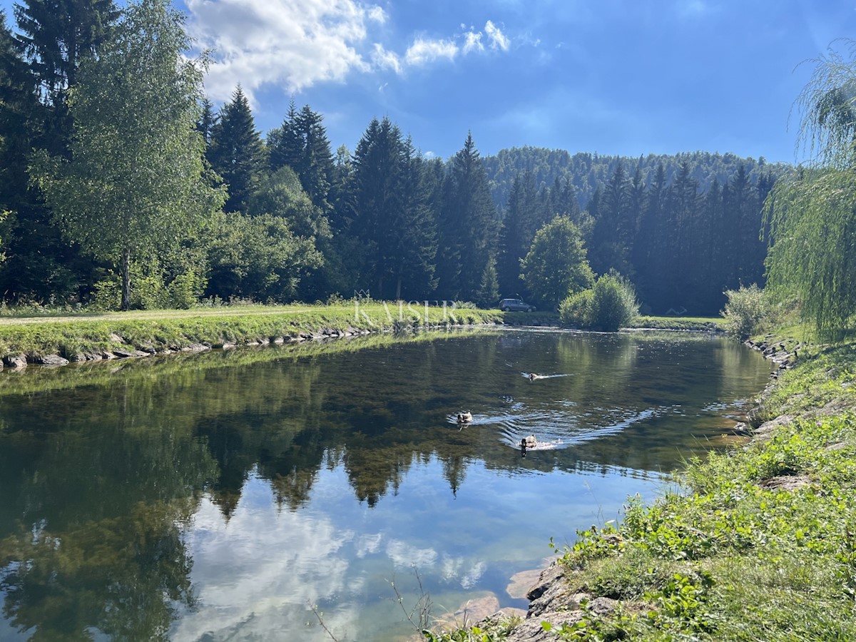 Terreno In vendita - PRIMORSKO-GORANSKA DELNICE