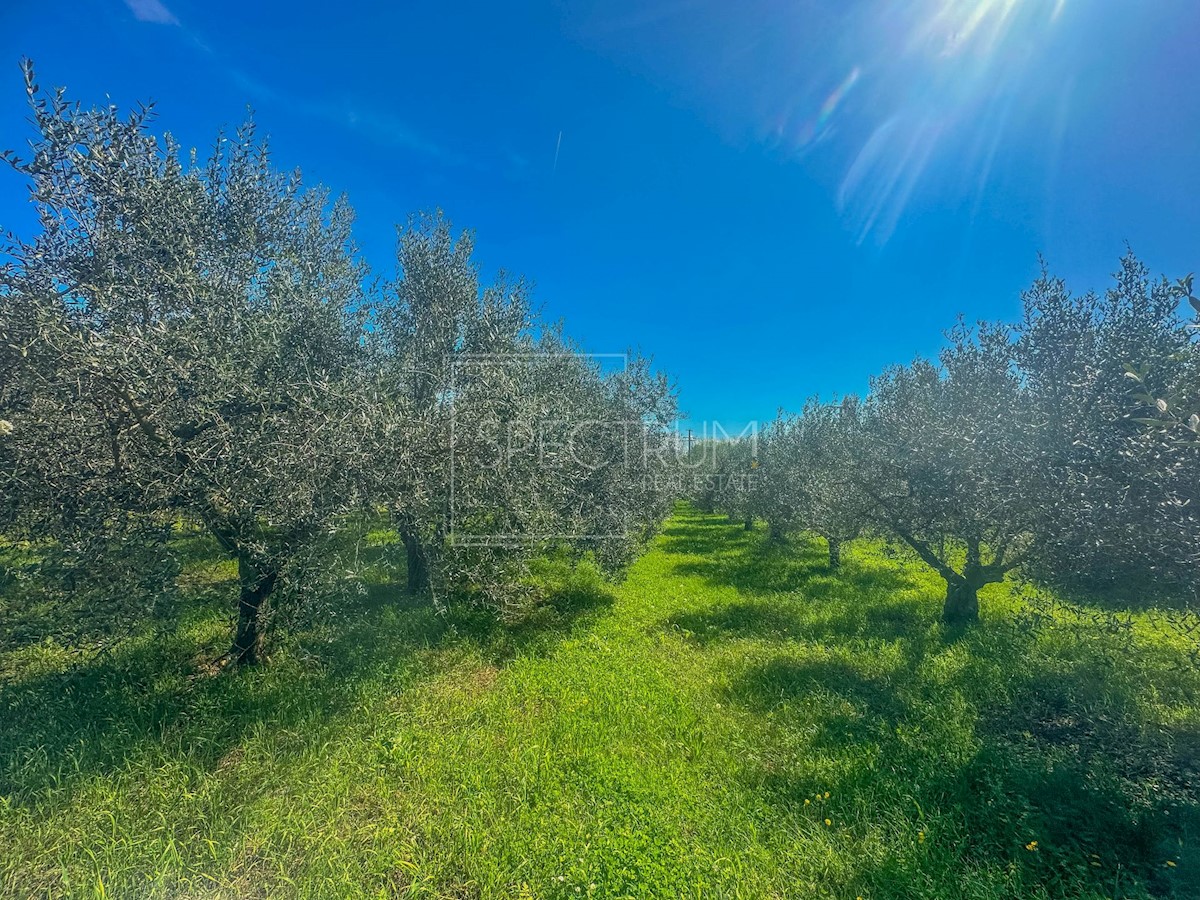 Zemljište Na prodaju - ISTARSKA NOVIGRAD