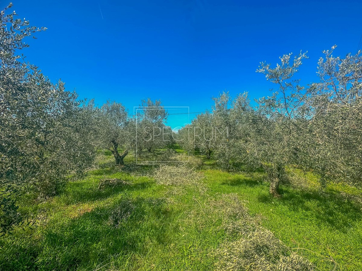 Zemljište Na prodaju - ISTARSKA NOVIGRAD