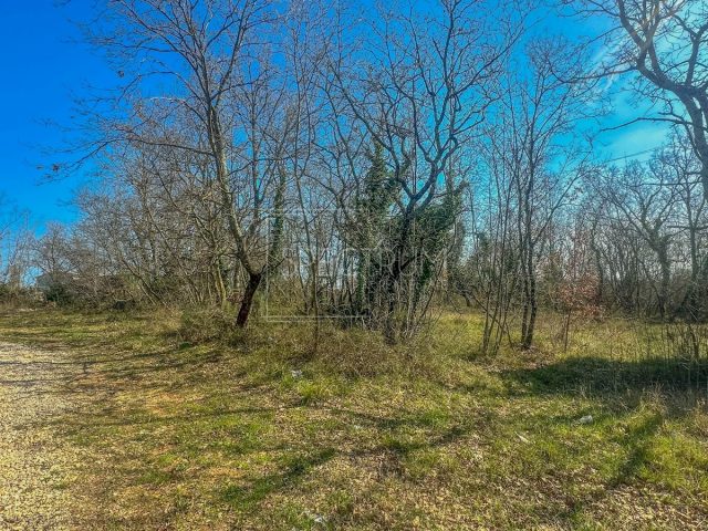 Land for sale 5374 m² – Umag