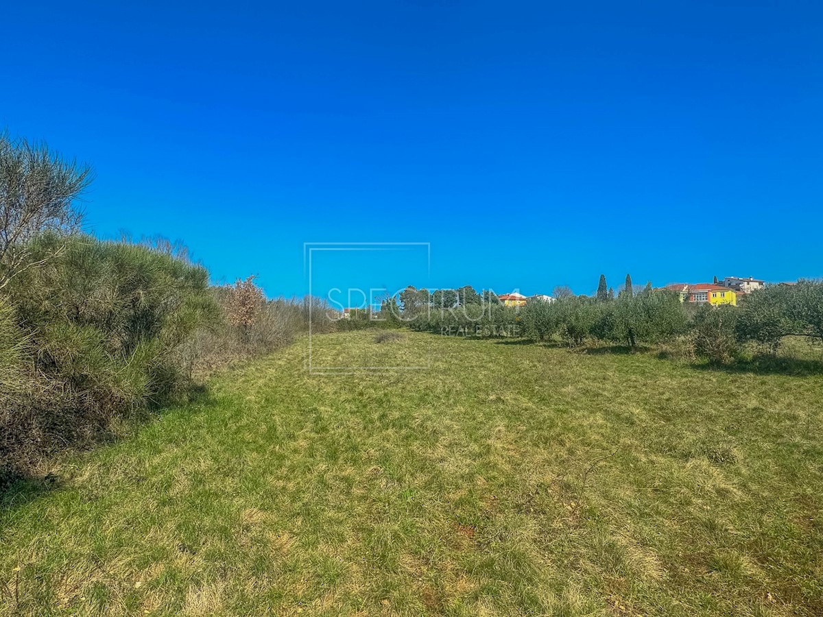 Land For sale - ISTARSKA UMAG