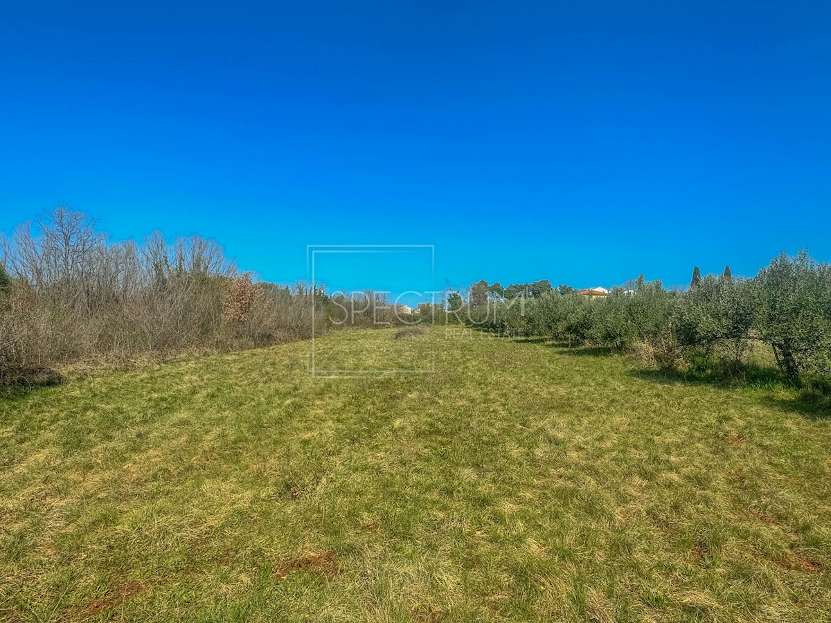 Land For sale - ISTARSKA UMAG