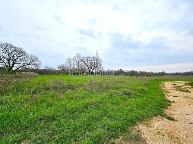 Terrain à vendre 580 m² – Galižana